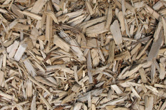 biomass boilers Seaburn