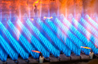 Seaburn gas fired boilers